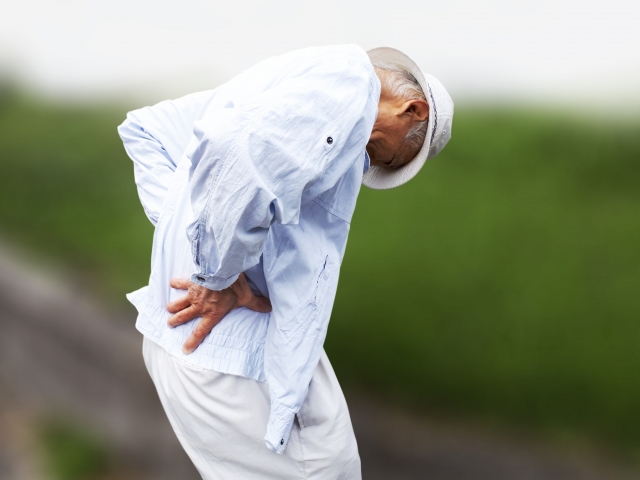 肩こり・腰痛とたんぱく質不足