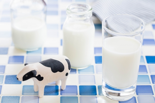 骨とカルシウムの関係